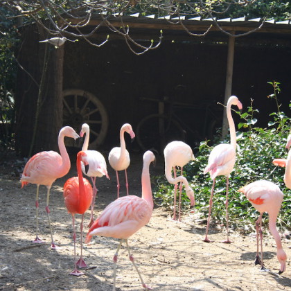 Un agriturismo adatto ai bambini