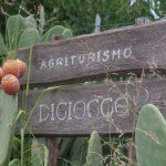 Benvenuti all'Agriturismo Diciocco in Toscana tra la campagna e il mare