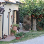 Dettagli dell'Agriturismo Diciocco in Toscana tra la campagna e il mare